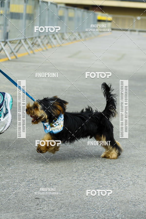 Buy your photos of the eventC�orrida Scooby Doo Internacional Shopping Guarulhos 2019 on Fotop