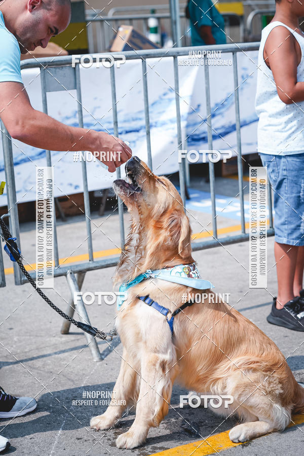 Buy your photos of the eventC�orrida Scooby Doo Internacional Shopping Guarulhos 2019 on Fotop