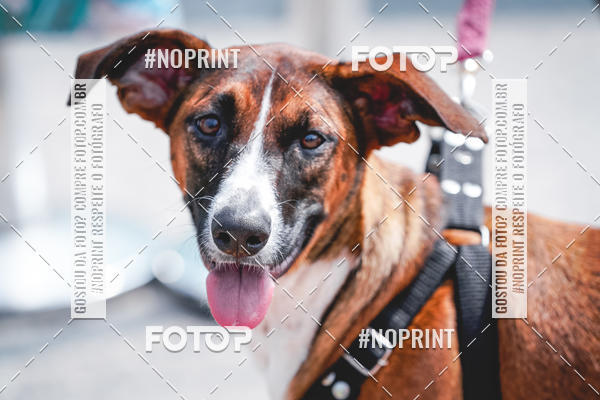 Buy your photos of the eventC�orrida Scooby Doo Internacional Shopping Guarulhos 2019 on Fotop