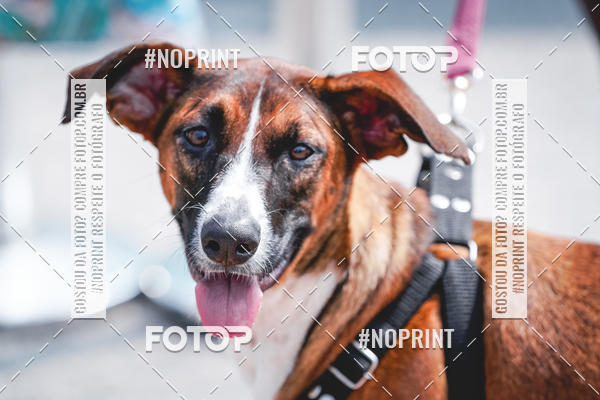 Buy your photos of the eventCorrida Scooby Doo Internacional Shopping Guarulhos 2019 on Fotop