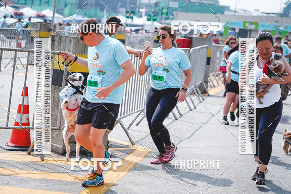 Buy your photos of the eventC�orrida Scooby Doo Internacional Shopping Guarulhos 2019 on Fotop