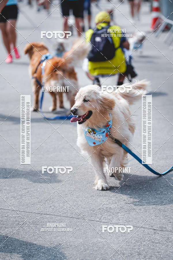 Buy your photos of the eventC�orrida Scooby Doo Internacional Shopping Guarulhos 2019 on Fotop