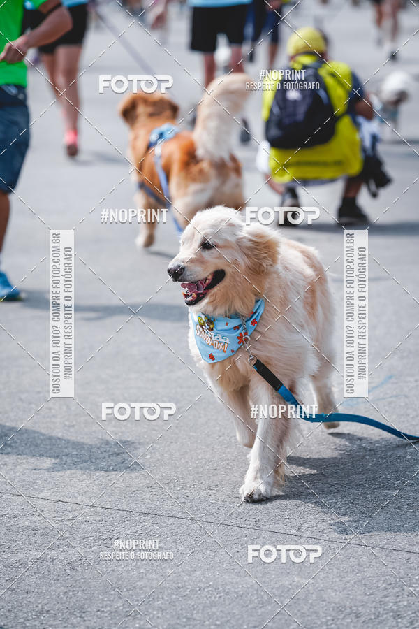 Buy your photos of the eventC�orrida Scooby Doo Internacional Shopping Guarulhos 2019 on Fotop