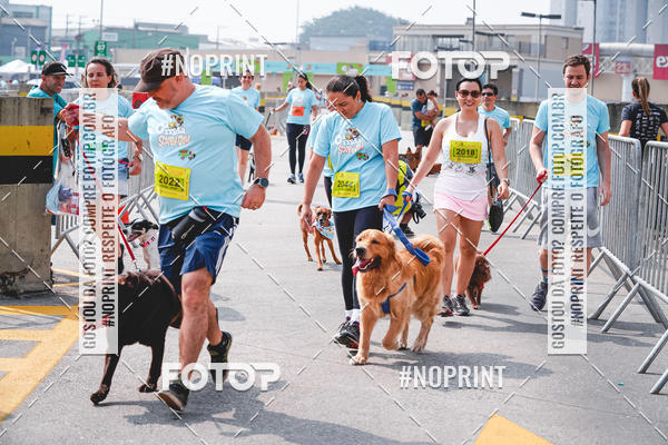 Buy your photos of the eventC�orrida Scooby Doo Internacional Shopping Guarulhos 2019 on Fotop