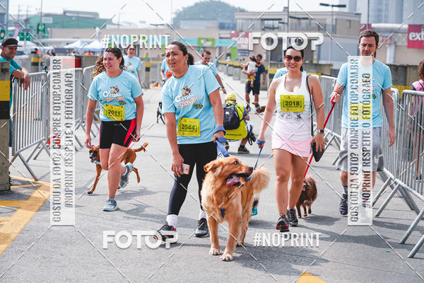 Buy your photos of the eventC�orrida Scooby Doo Internacional Shopping Guarulhos 2019 on Fotop