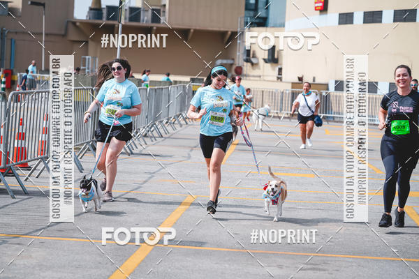 Buy your photos of the eventC�orrida Scooby Doo Internacional Shopping Guarulhos 2019 on Fotop