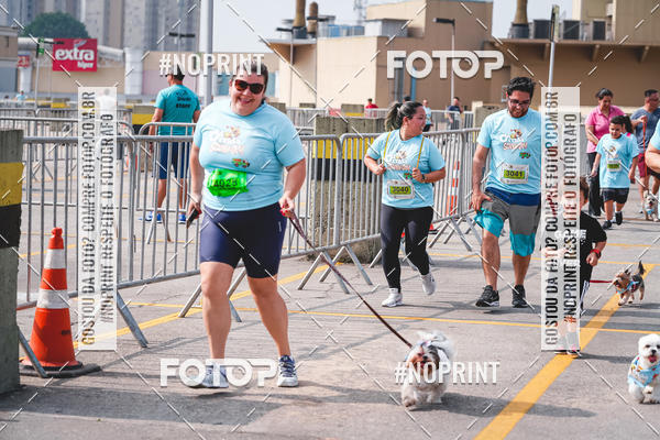Buy your photos of the eventCorrida Scooby Doo Internacional Shopping Guarulhos 2019 on Fotop