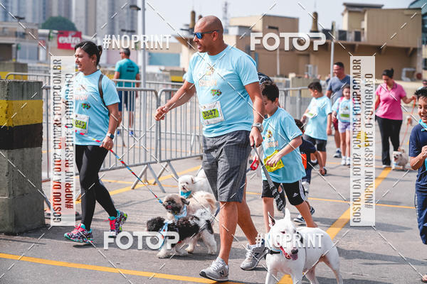 Buy your photos of the eventC�orrida Scooby Doo Internacional Shopping Guarulhos 2019 on Fotop