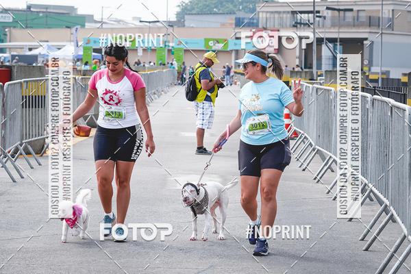 Buy your photos of the eventC�orrida Scooby Doo Internacional Shopping Guarulhos 2019 on Fotop