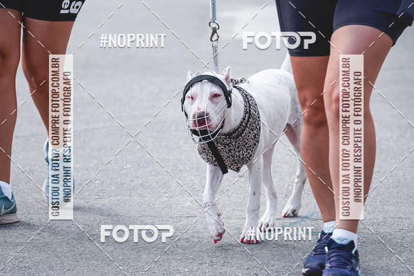 Buy your photos of the eventC�orrida Scooby Doo Internacional Shopping Guarulhos 2019 on Fotop