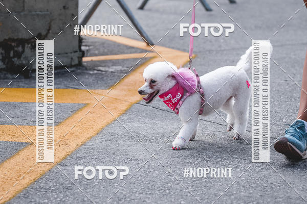 Buy your photos of the eventC�orrida Scooby Doo Internacional Shopping Guarulhos 2019 on Fotop