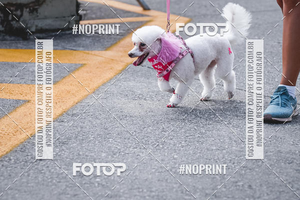 Buy your photos of the eventC�orrida Scooby Doo Internacional Shopping Guarulhos 2019 on Fotop