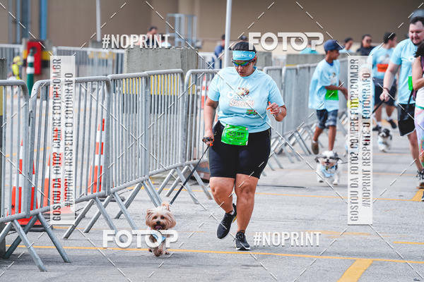 Buy your photos of the eventC�orrida Scooby Doo Internacional Shopping Guarulhos 2019 on Fotop