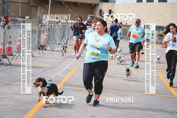 Buy your photos of the eventC�orrida Scooby Doo Internacional Shopping Guarulhos 2019 on Fotop