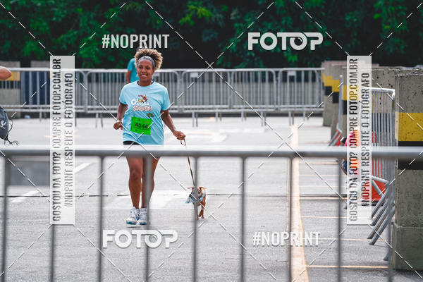 Buy your photos of the eventC�orrida Scooby Doo Internacional Shopping Guarulhos 2019 on Fotop