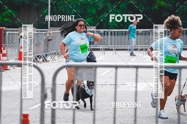 Buy your photos of the eventC�orrida Scooby Doo Internacional Shopping Guarulhos 2019 on Fotop