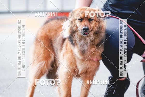 Buy your photos of the eventC�orrida Scooby Doo Internacional Shopping Guarulhos 2019 on Fotop