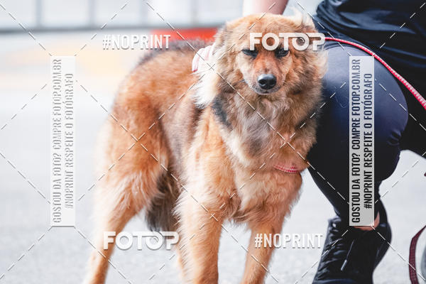 Buy your photos of the eventC�orrida Scooby Doo Internacional Shopping Guarulhos 2019 on Fotop