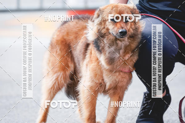 Buy your photos of the eventC�orrida Scooby Doo Internacional Shopping Guarulhos 2019 on Fotop