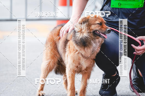 Buy your photos of the eventC�orrida Scooby Doo Internacional Shopping Guarulhos 2019 on Fotop