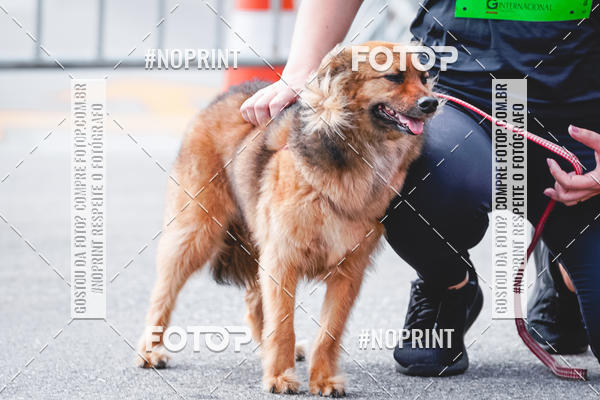 Buy your photos of the eventC�orrida Scooby Doo Internacional Shopping Guarulhos 2019 on Fotop