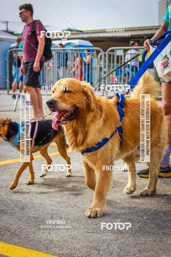 Buy your photos of the eventC�orrida Scooby Doo Internacional Shopping Guarulhos 2019 on Fotop