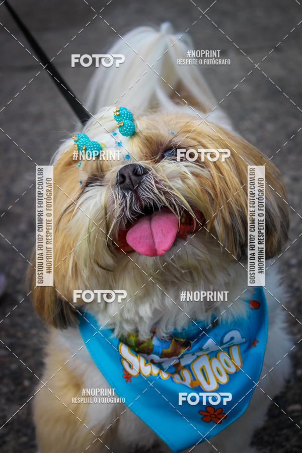 Buy your photos of the eventC�orrida Scooby Doo Internacional Shopping Guarulhos 2019 on Fotop