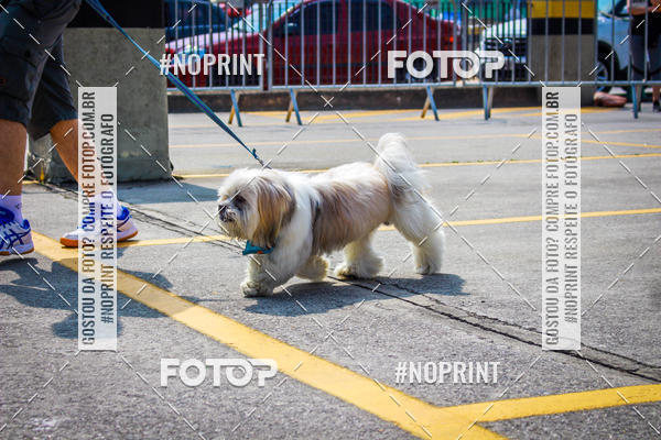 Buy your photos of the eventC�orrida Scooby Doo Internacional Shopping Guarulhos 2019 on Fotop