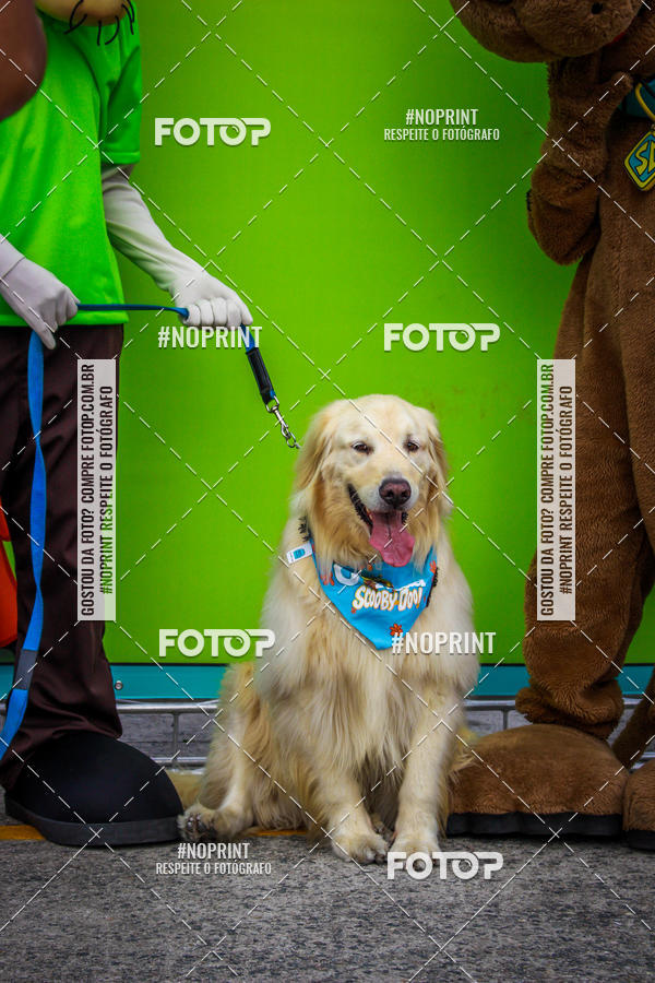 Buy your photos of the eventC�orrida Scooby Doo Internacional Shopping Guarulhos 2019 on Fotop