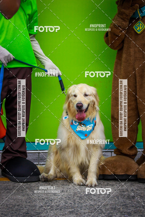Buy your photos of the eventC�orrida Scooby Doo Internacional Shopping Guarulhos 2019 on Fotop