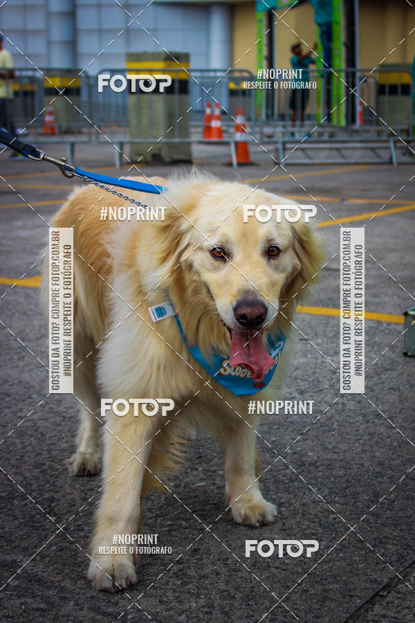 Buy your photos of the eventC�orrida Scooby Doo Internacional Shopping Guarulhos 2019 on Fotop