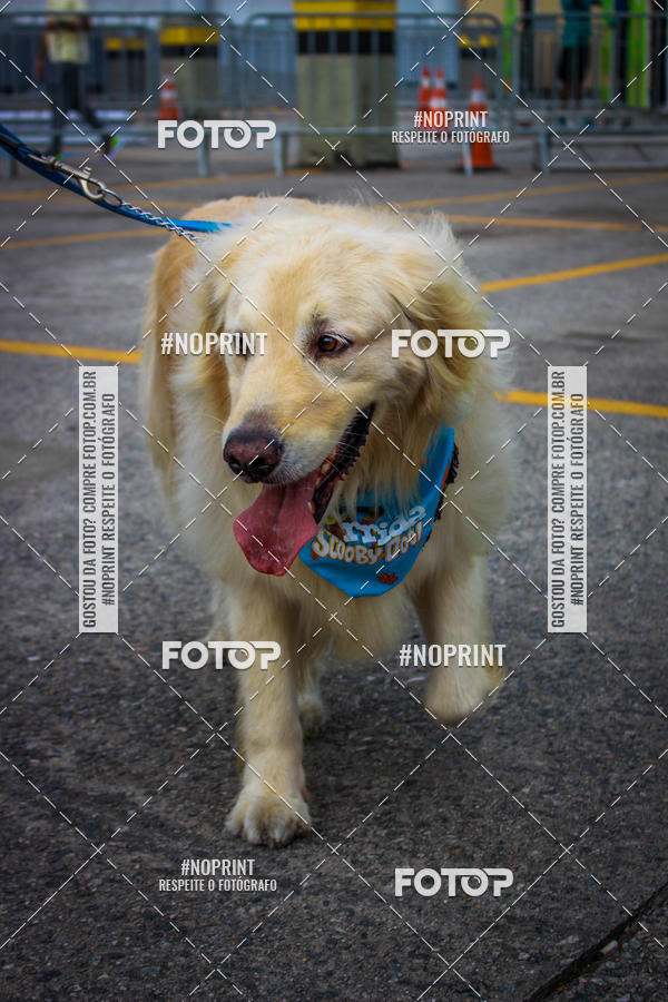 Buy your photos of the eventC�orrida Scooby Doo Internacional Shopping Guarulhos 2019 on Fotop