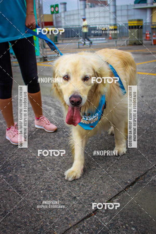 Buy your photos of the eventC�orrida Scooby Doo Internacional Shopping Guarulhos 2019 on Fotop