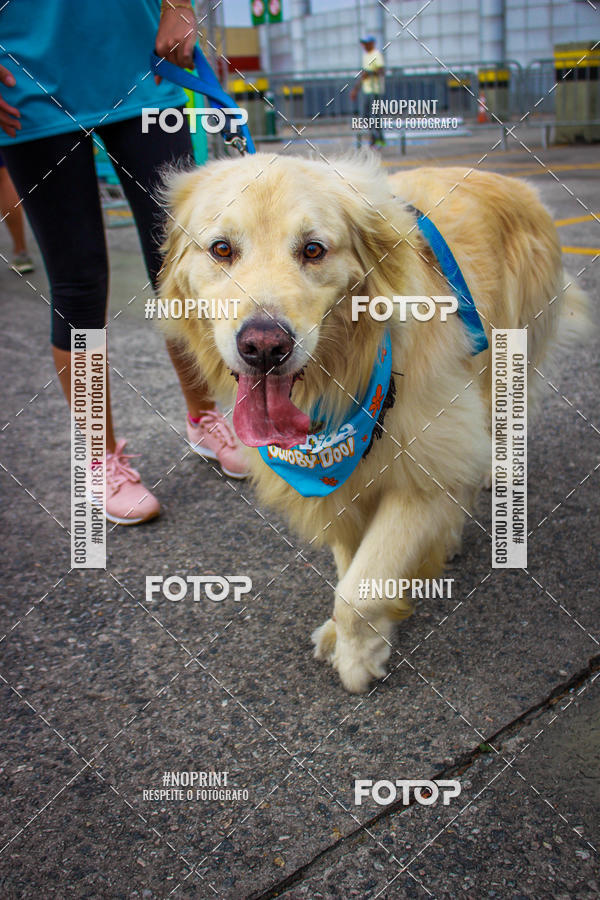 Buy your photos of the eventC�orrida Scooby Doo Internacional Shopping Guarulhos 2019 on Fotop