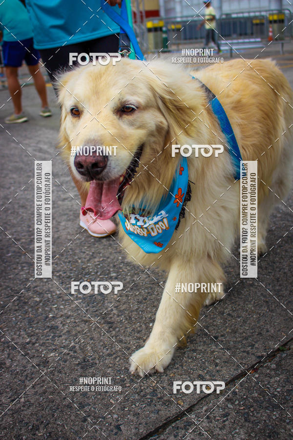 Buy your photos of the eventC�orrida Scooby Doo Internacional Shopping Guarulhos 2019 on Fotop