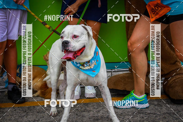 Buy your photos of the eventC�orrida Scooby Doo Internacional Shopping Guarulhos 2019 on Fotop