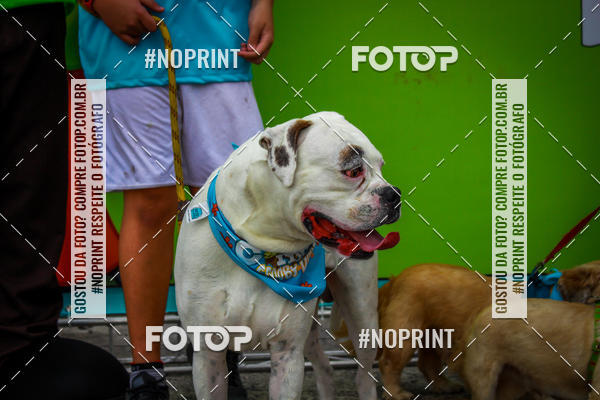 Buy your photos of the eventC�orrida Scooby Doo Internacional Shopping Guarulhos 2019 on Fotop