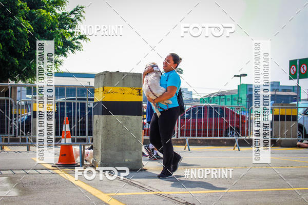 Buy your photos of the eventC�orrida Scooby Doo Internacional Shopping Guarulhos 2019 on Fotop