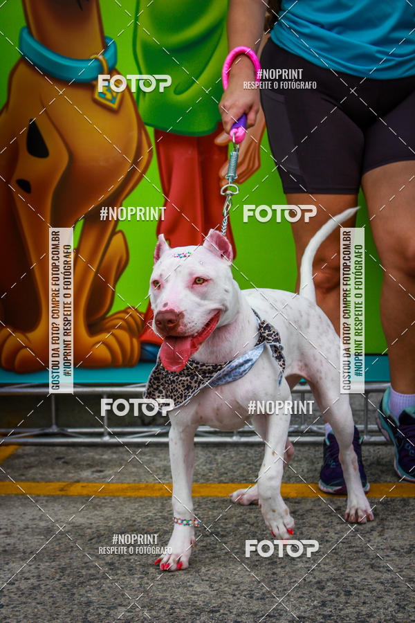 Buy your photos of the eventC�orrida Scooby Doo Internacional Shopping Guarulhos 2019 on Fotop