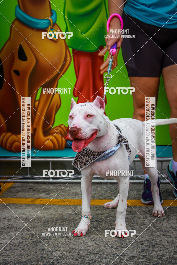Buy your photos of the eventC�orrida Scooby Doo Internacional Shopping Guarulhos 2019 on Fotop