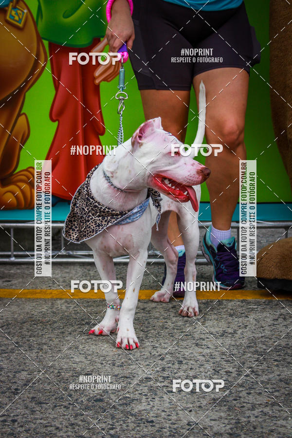 Buy your photos of the eventC�orrida Scooby Doo Internacional Shopping Guarulhos 2019 on Fotop