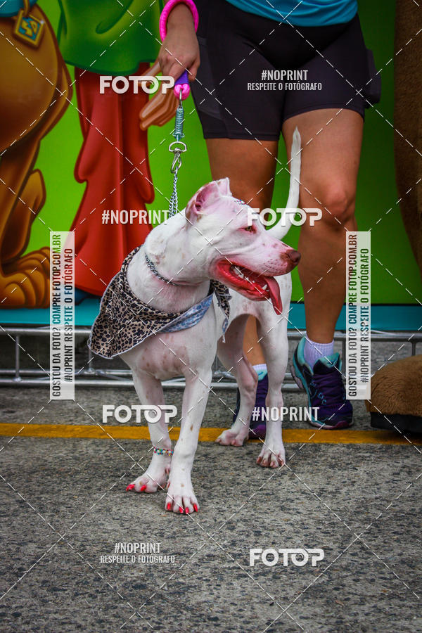 Buy your photos of the eventC�orrida Scooby Doo Internacional Shopping Guarulhos 2019 on Fotop