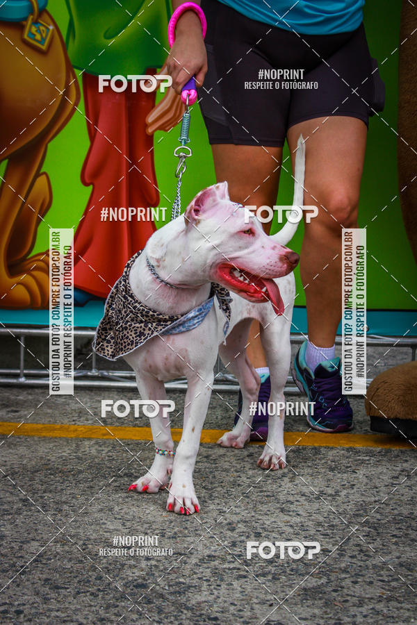 Buy your photos of the eventC�orrida Scooby Doo Internacional Shopping Guarulhos 2019 on Fotop