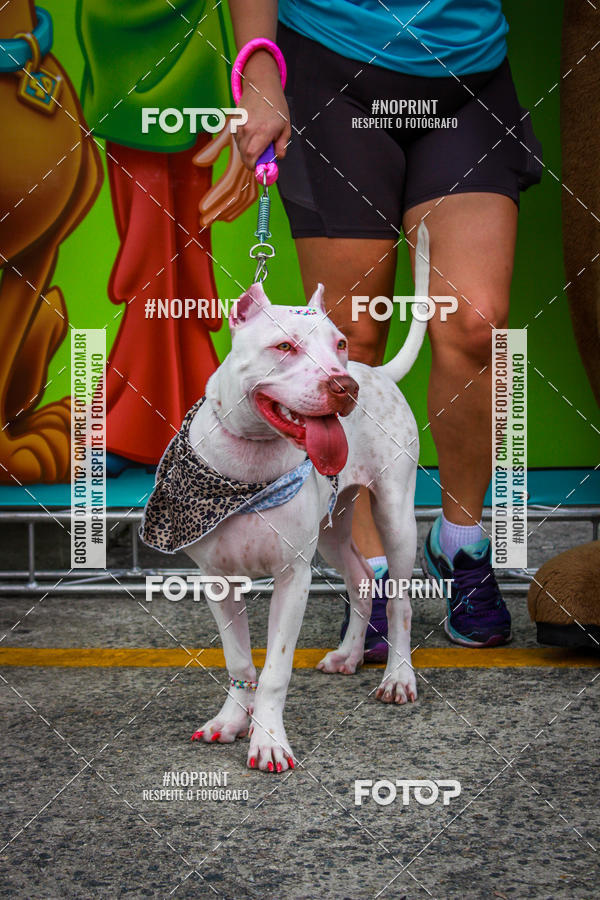 Buy your photos of the eventC�orrida Scooby Doo Internacional Shopping Guarulhos 2019 on Fotop