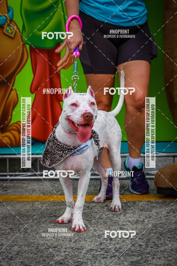 Buy your photos of the eventC�orrida Scooby Doo Internacional Shopping Guarulhos 2019 on Fotop