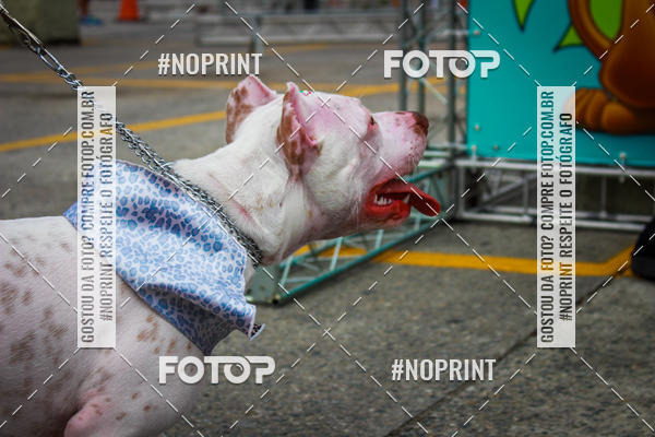 Buy your photos of the eventC�orrida Scooby Doo Internacional Shopping Guarulhos 2019 on Fotop