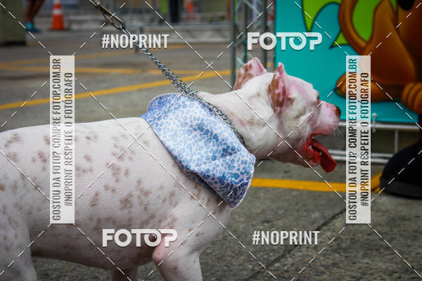 Buy your photos of the eventC�orrida Scooby Doo Internacional Shopping Guarulhos 2019 on Fotop