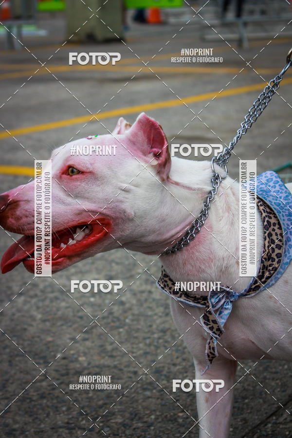 Buy your photos of the eventC�orrida Scooby Doo Internacional Shopping Guarulhos 2019 on Fotop