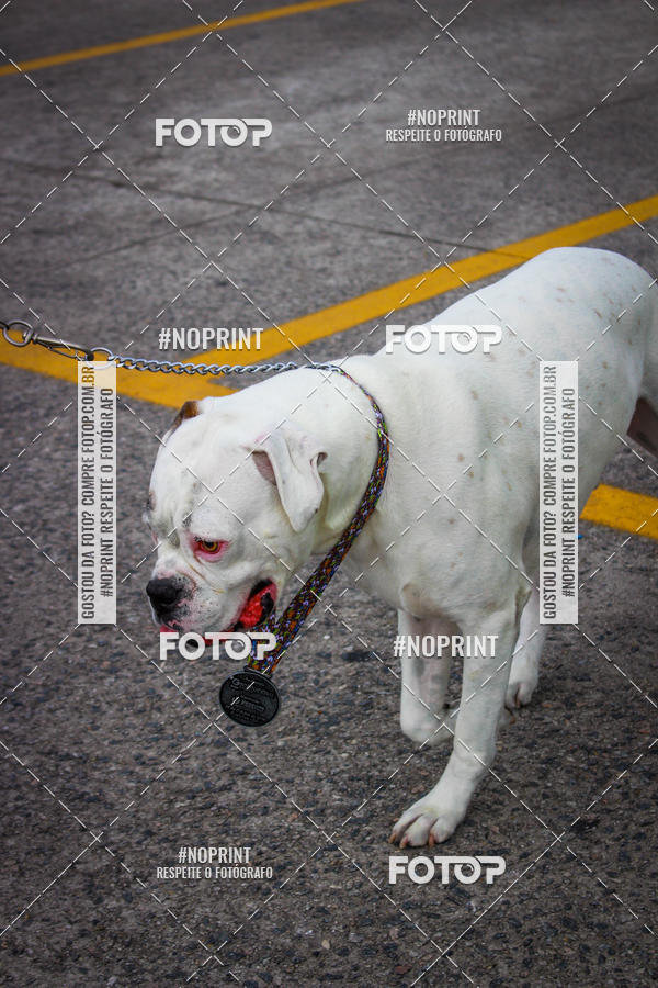 Buy your photos of the eventCorrida Scooby Doo Internacional Shopping Guarulhos 2019 on Fotop