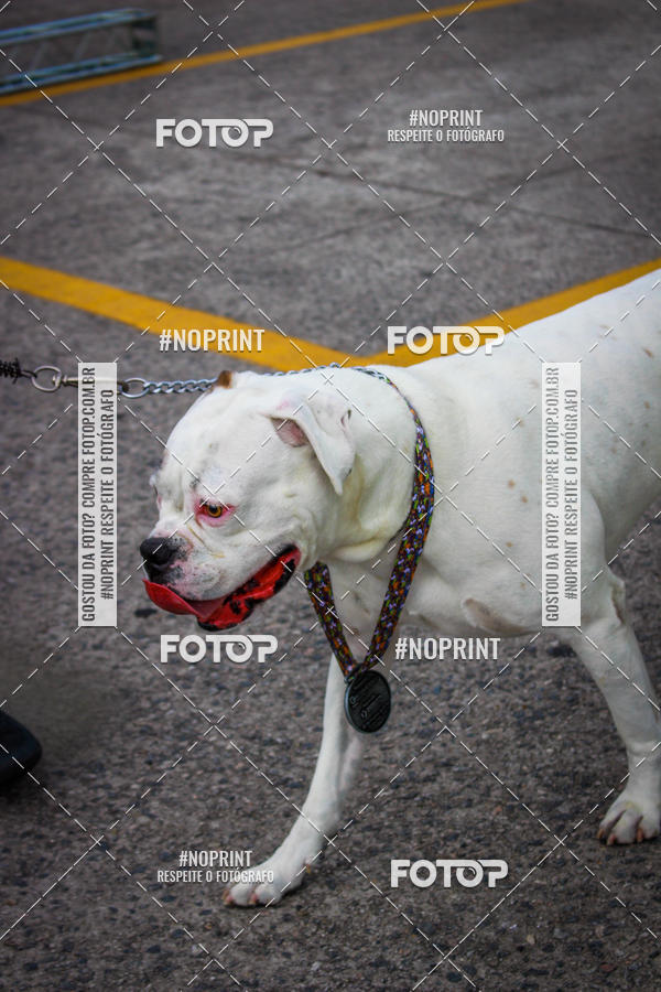 Buy your photos of the eventCorrida Scooby Doo Internacional Shopping Guarulhos 2019 on Fotop